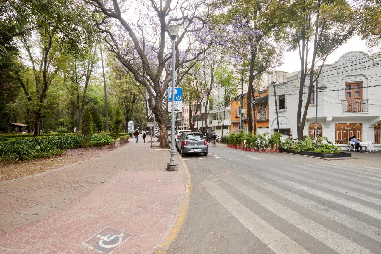 فندق مدينة مكسيكوفي  Sonder Casa Tonala المظهر الخارجي الصورة